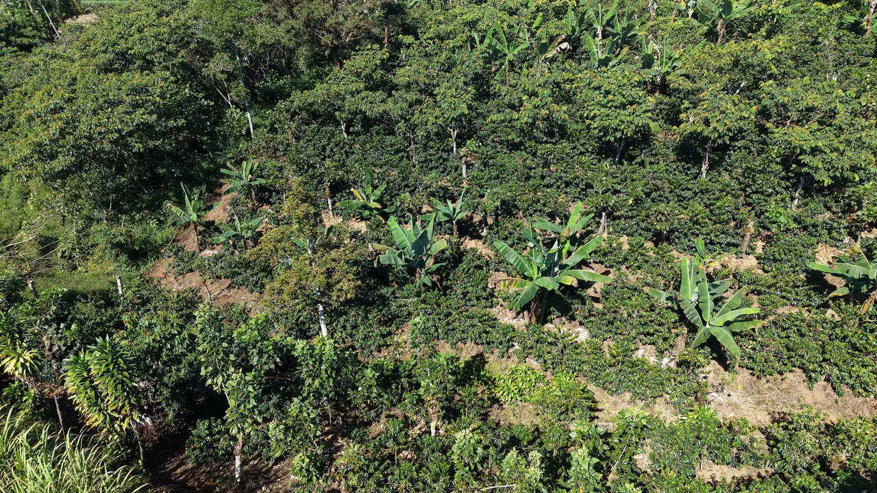 Countryside Home Construction Site For Sale in Santa Elena - Gallery image 4