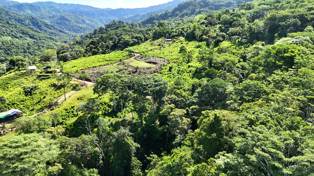 Near the Coast and Mountain Home Construction Site For Sale in Uvita - Gallery image 17