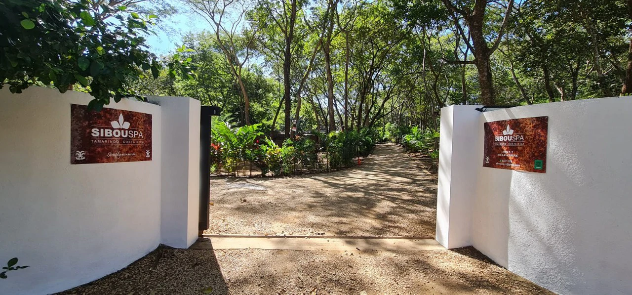 Successful Wellness and Spa with restaurant: One Of A Kind, Successful Wellness, Spa And Restaurant Oasis Close To Tamarindo - Gallery image 8