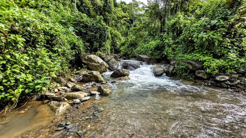 Waterfall Estate, Dos Bocas, Dominical Featuring Twin Waterfalls, Springs, Creeks & Rivers - Gallery image 20