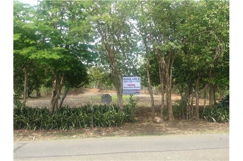Commercial land in Guanacaste 0.87ha : 900701029-120 - Gallery image 2