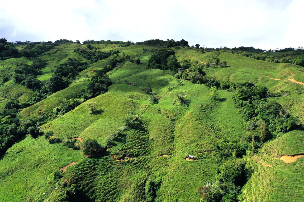 150 Acre Cattle Ranch with Panoramic Views Above the mountains of Uvita - Gallery image 2