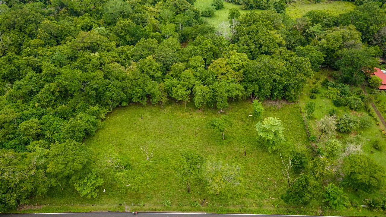 Exceptional Nearly 3-Hectare Property in Pueblo Nuevo, Bejuco, Guanacaste - Gallery image 8