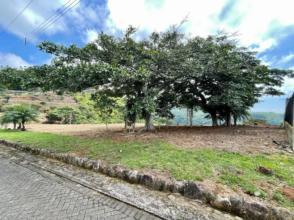 Bargain Lot for sale in Residencial Vista Mar with Ocean and mountain view between San Mateo and Orotina Alajuela Costa Rica - Gallery image 4