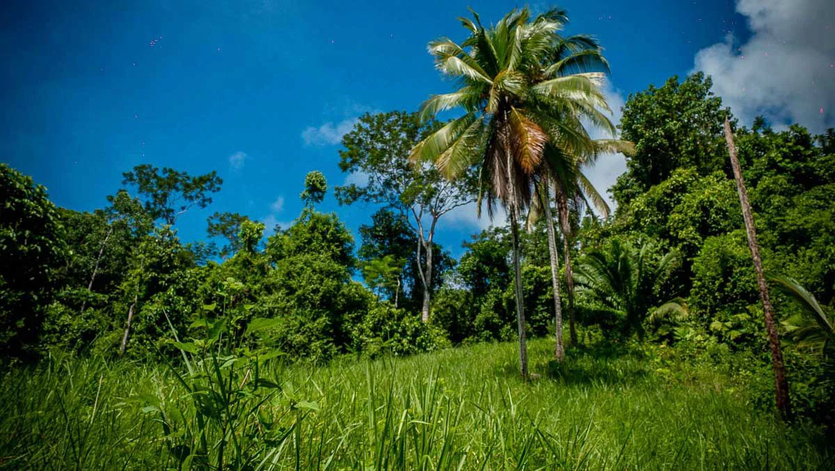Rincon Mountain Land Gulf View | A Breathtaking Landscapes of Rincon - Gallery image 22