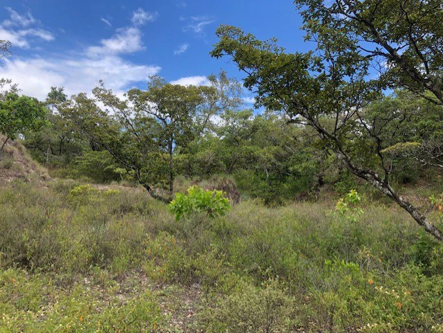 Mountain Farm for Sale in Liberia – Nature, Privacy, and High Investment Potential - Gallery image 25