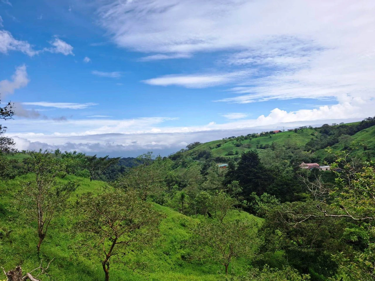 INVESTOR & DEVELOPER ALERT: High-Visibility Investment Property in the Heart of Tourist-Friendly Zarcero - Gallery image 2
