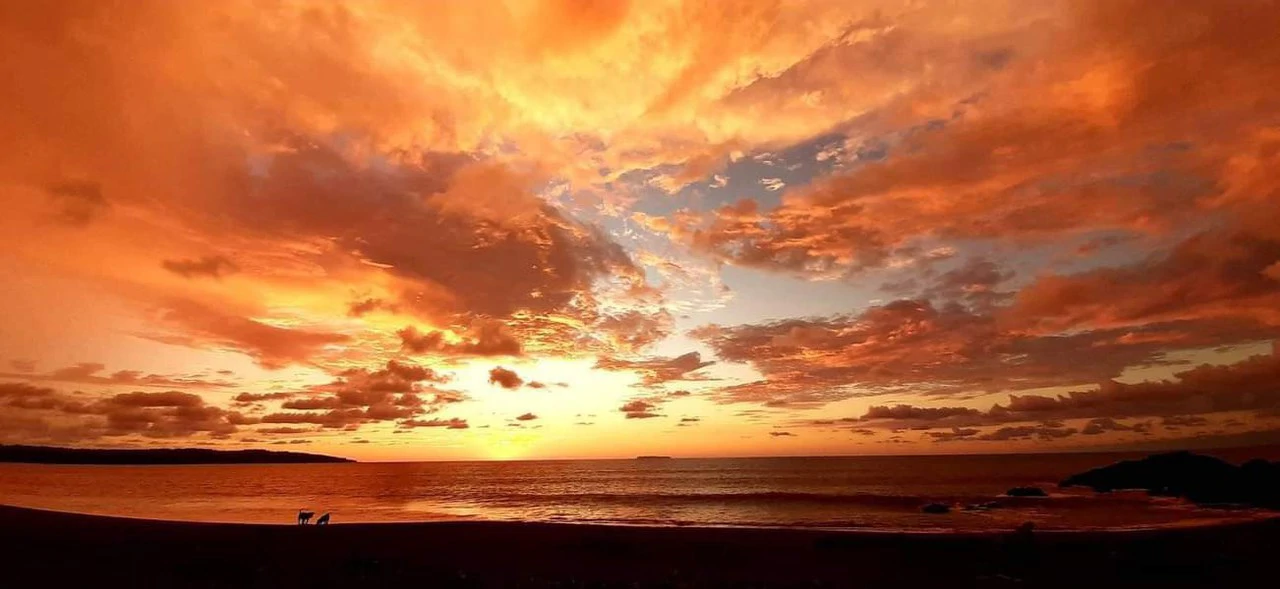 23 Acres of Paradise at Bahia Drake - Gallery image 8