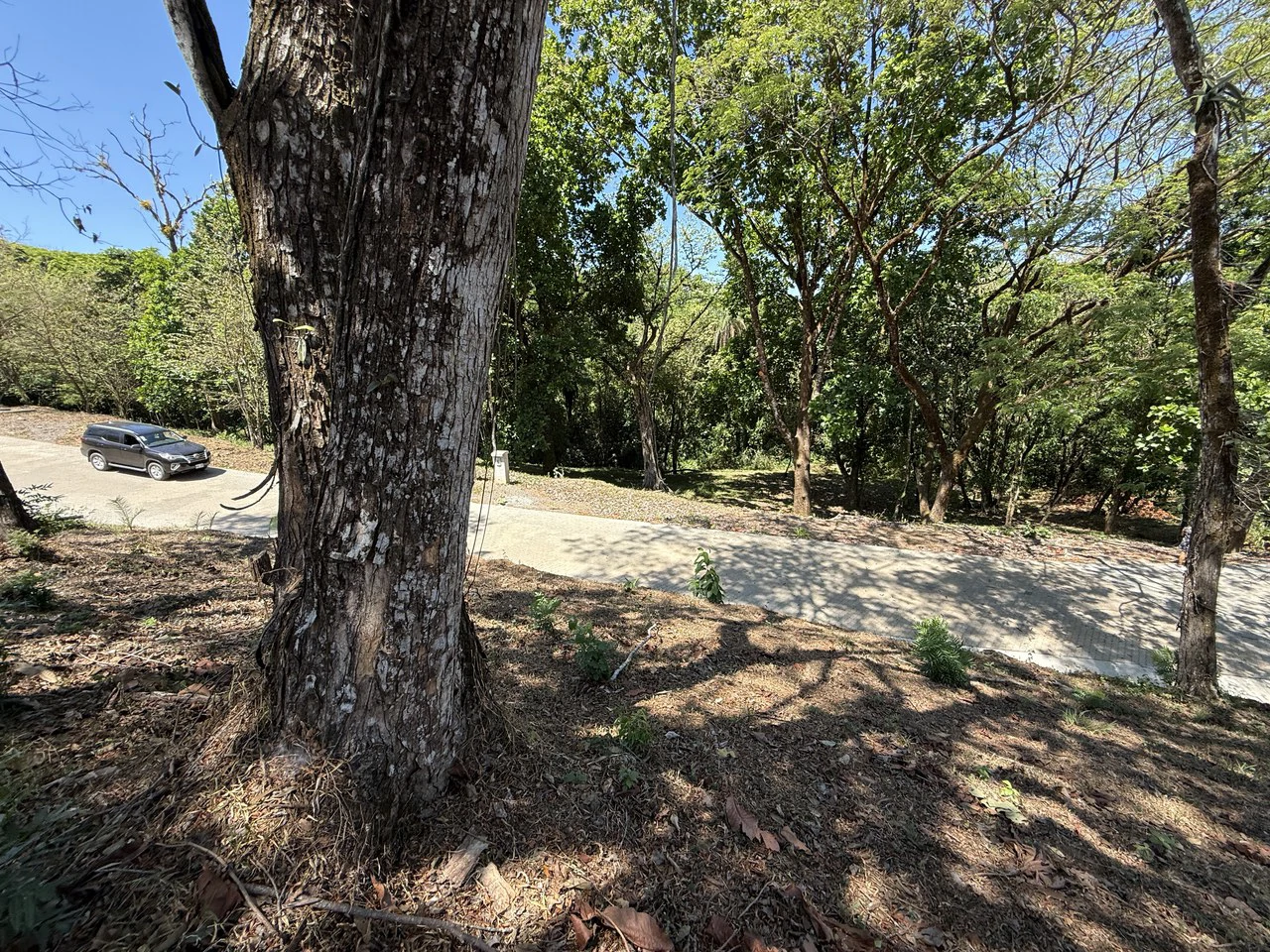 Ecovilla San Mateo: Ecovilla San Mateo – Lot for sale -Nature, Community & Conscious Living - Gallery image 4