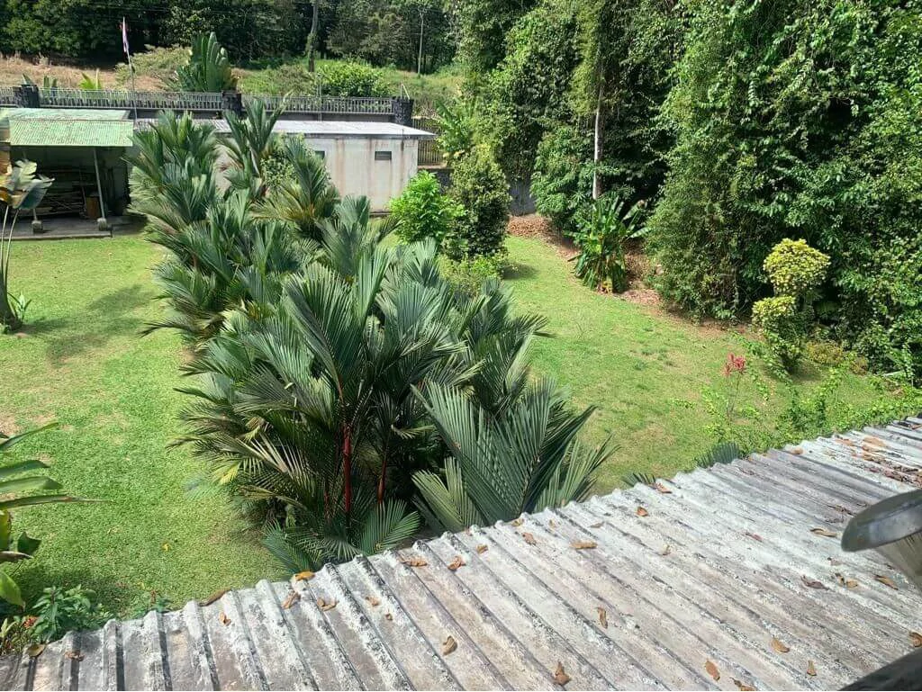 Mountain House For Sale in Horquetas - Gallery image 16