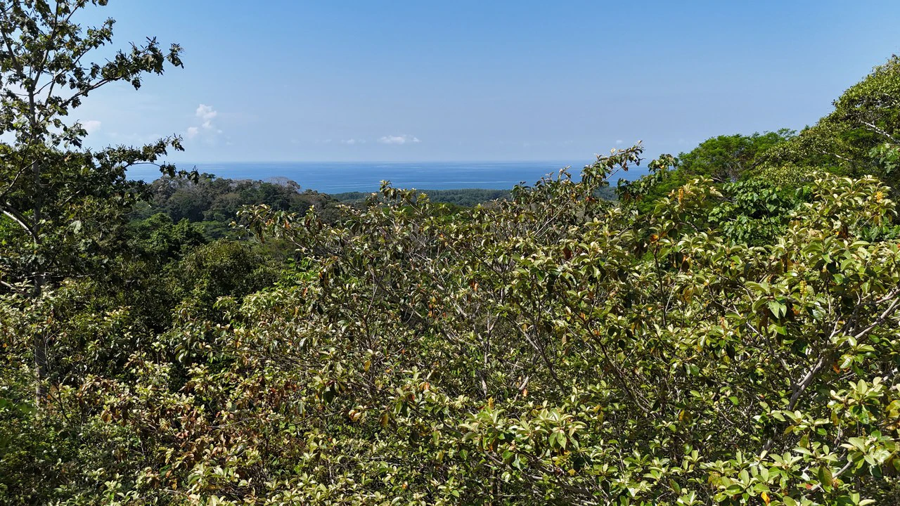 Exceptional Development Opportunity 71 acre Riverfront & Ocean View in Hatillo - Gallery image 14