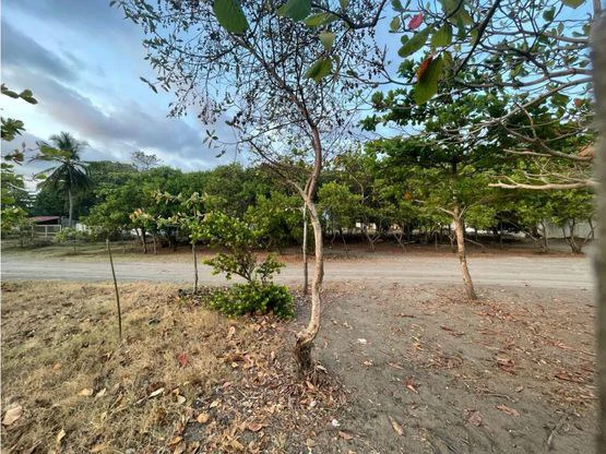 Jaco Luxury Ocean Front Lot - Gallery image 15