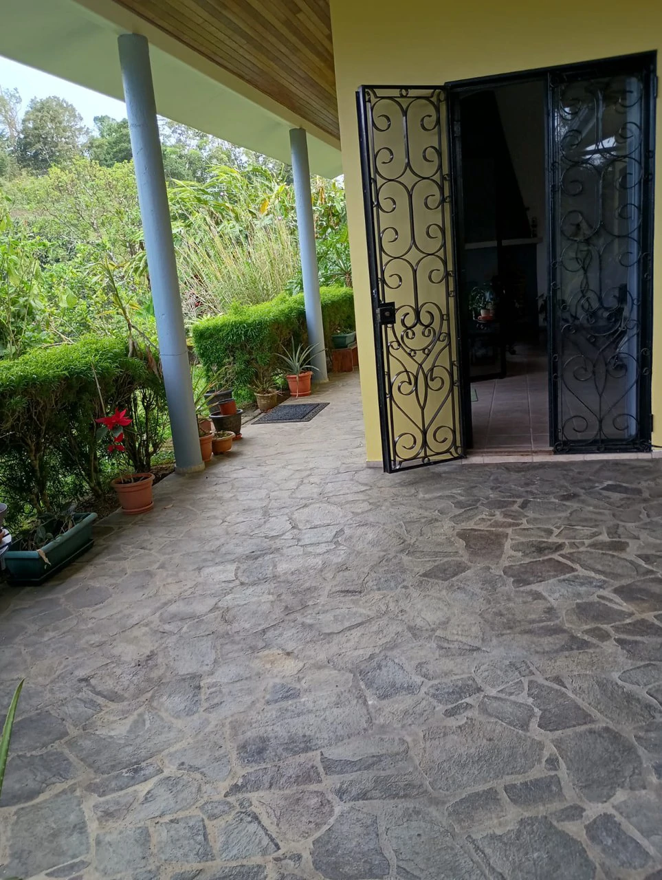CASA  TROPICANA - Lake View Oasis Near Nuevo Arenal - Gallery image 55