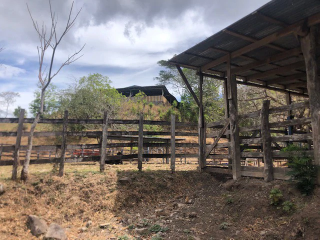 Costa Rica horse Farmland close to Monteverde - Gallery image 6