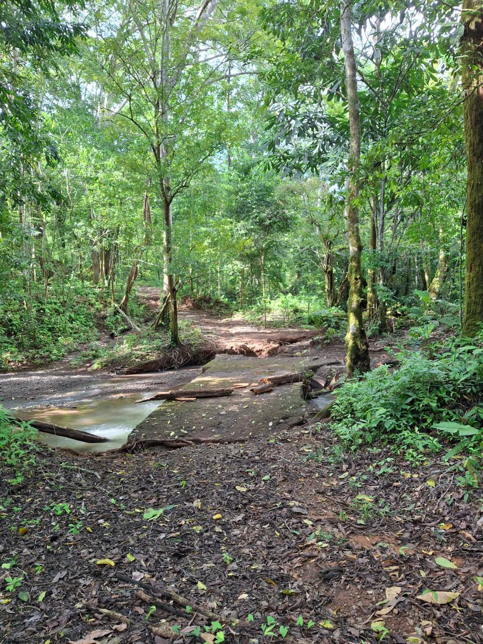 Hilltop Ocean Paradise: 10 ha (103,600m2) for private compound or development - Gallery image 12