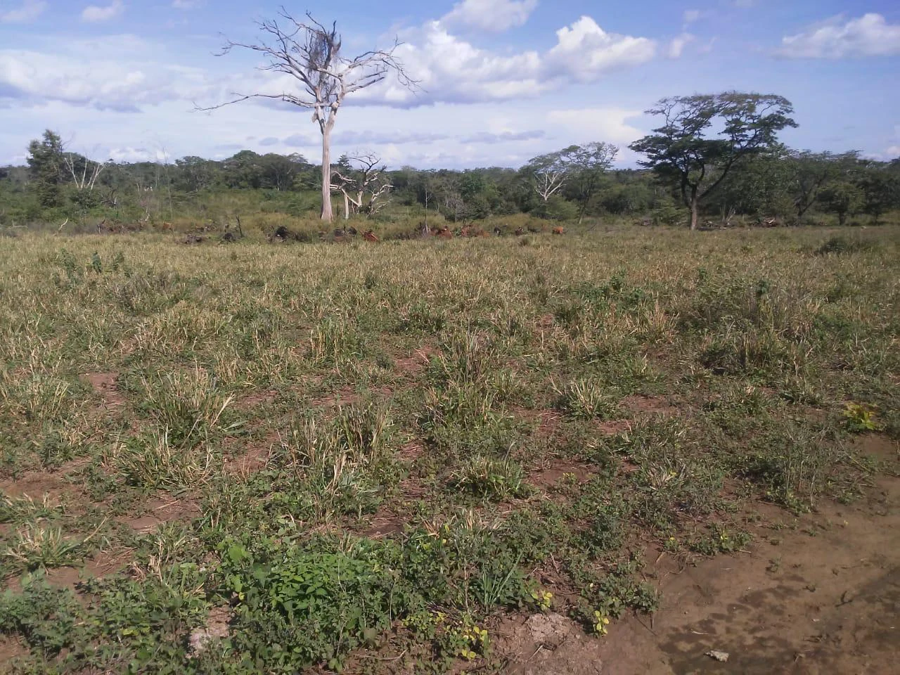 Large commercial property for sale in the Papagayo area, close to the Marina Papagayo or Four Season luxury hotel - Gallery image 3