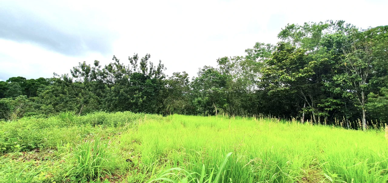 GULF VIEW PROPERTY IN PUERTO JIMENEZ, COSTA RICA - Gallery image 5