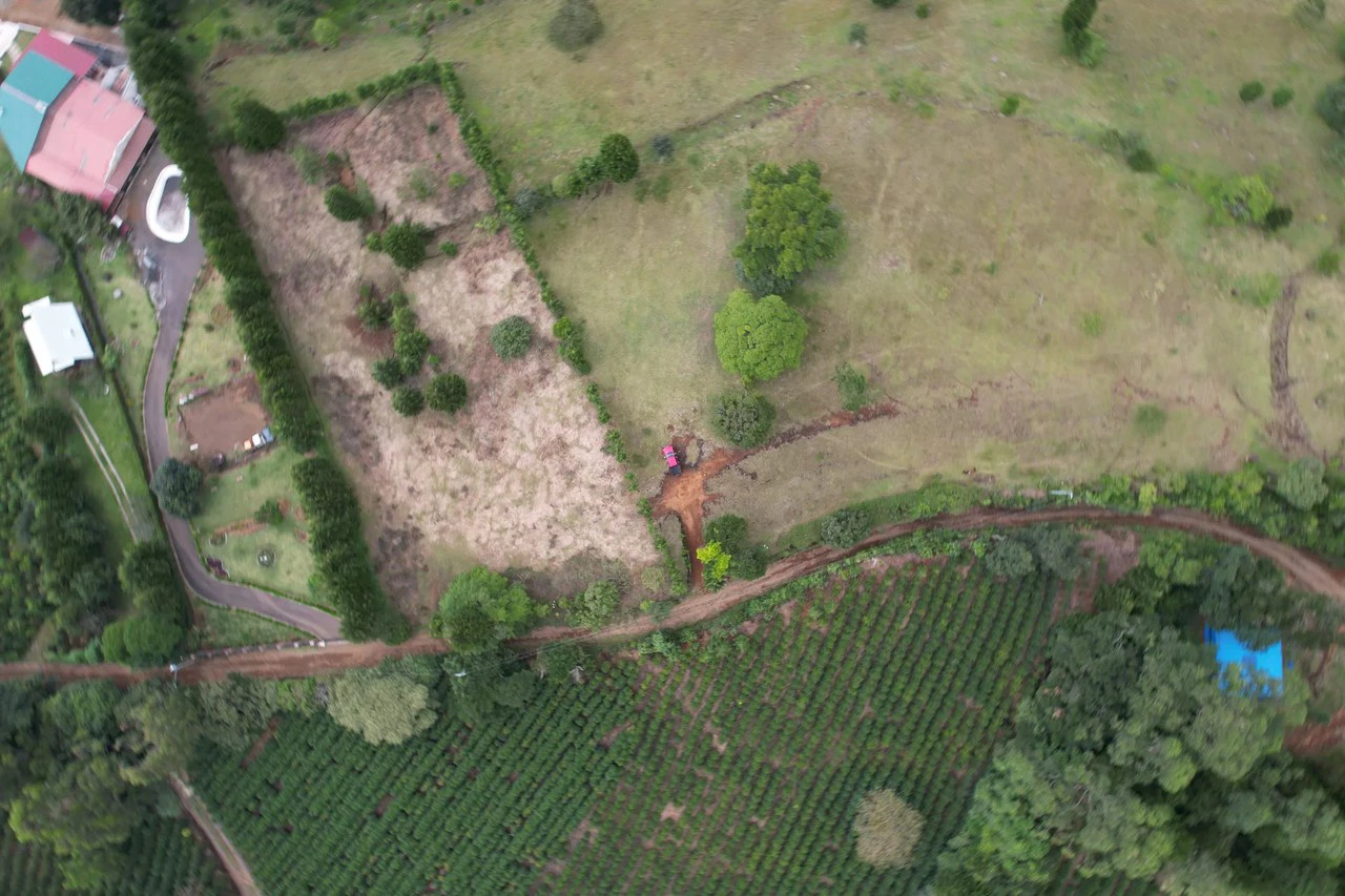 Agricultural Land For Sale in San Isidro - Gallery image 5