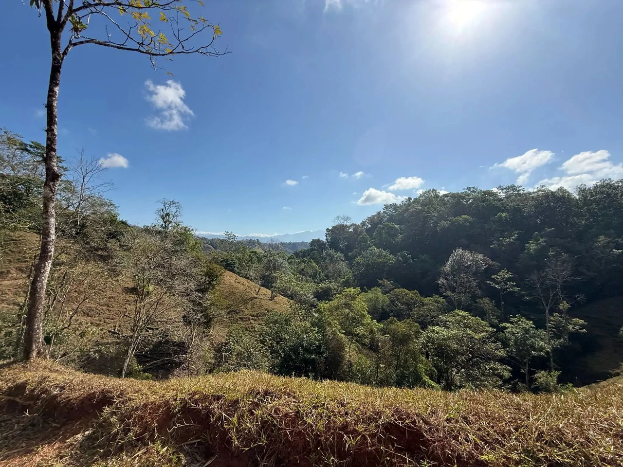 11.4 Hectare Mountain Estate: Lush Forest, River & Farm Potential in Arenal Puriscal , San Jose - Gallery image 30