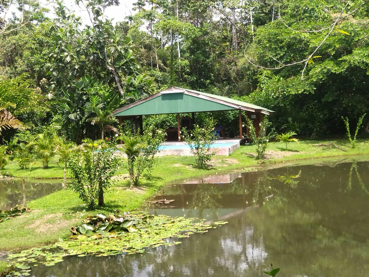 Pristine Business for Sale in Santo Domingos Forest, 3 cabins surrounded by wild nature, Tilapia lake with a dock, and a Restaurant - Gallery image 5