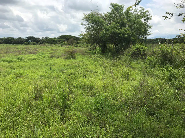 Property close to Liberia and Discovery Park - Gallery image 5