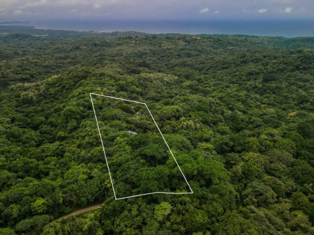 Nosara's Brand New Top Villas as a Business Opportunity in the dense forest of catchment area, 7 villas for sale in Costa Rica's Healthy Blue Zone - Gallery image 26