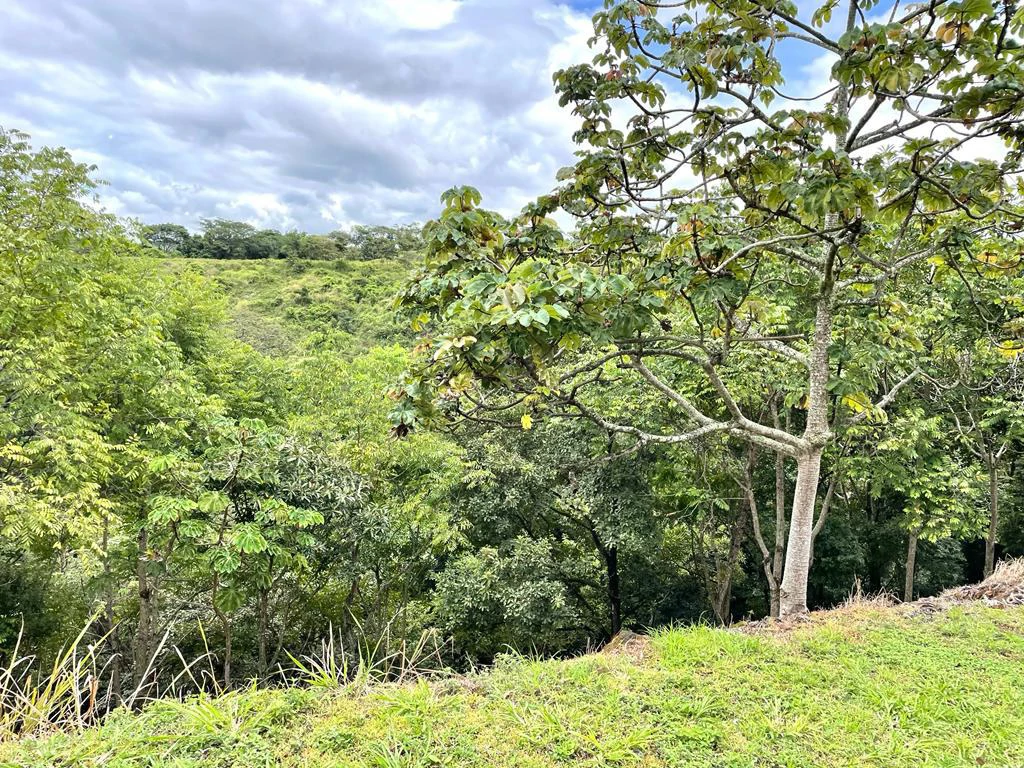 Lote for Sale in Gated Community Guácima Alajuela Costa Rica - Gallery image 6