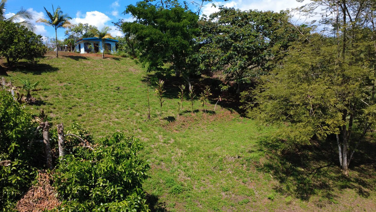 Countryside Home Construction Site For Sale in San Pedro - Gallery image 2