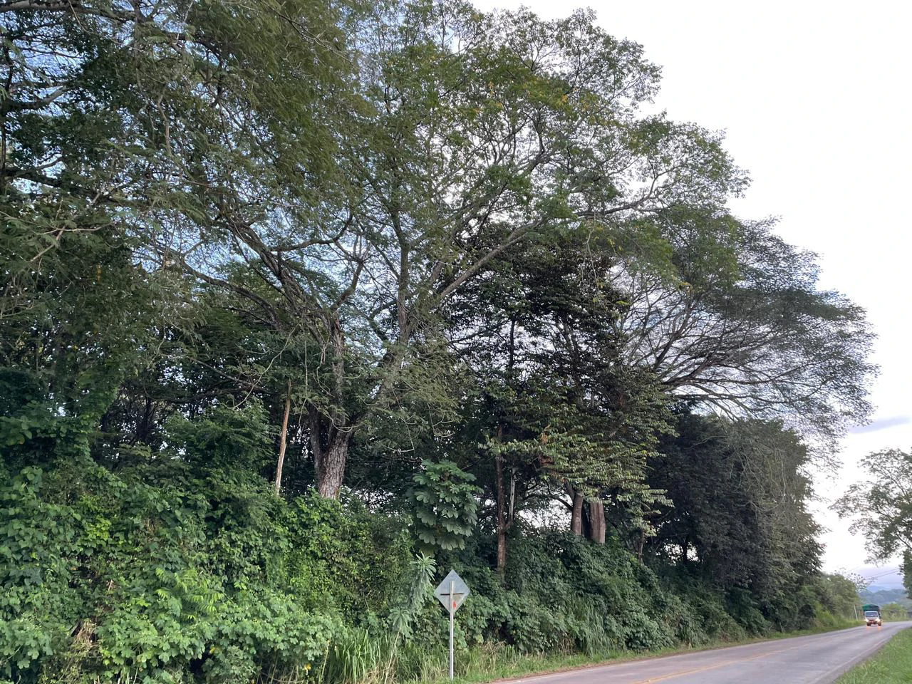 Countryside Agricultural Land For Sale in Limonal