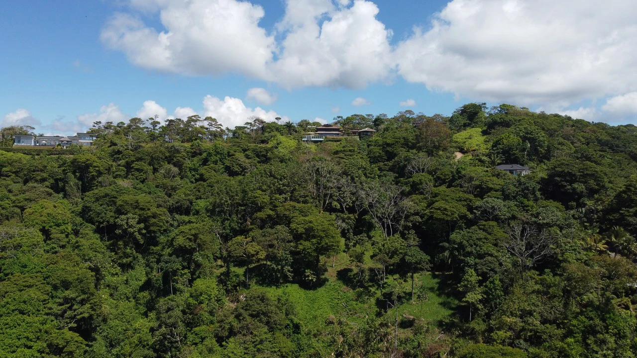 Exclusive 5.80 acres Ocean View Estate Lot in Costa Verde Estates – Escaleras - Gallery image 8