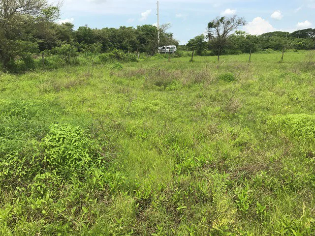 Property close to Liberia and Discovery Park - Gallery image 11