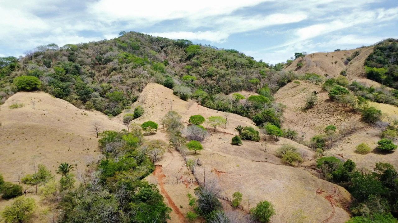 37-Hectare Ocean View Development Property Near Sámara, Buena Vista & Barrigona - photo 5
