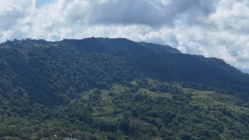 Oceanview Paradise Near San Luis Waterfall Ready to Build Morete, Uvita, Puntarenas, Costa Rica - Gallery image 7