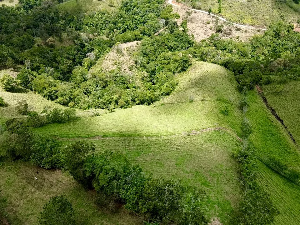 54 Acre Ranch in San Vito, Coto Brus - Gallery image 29