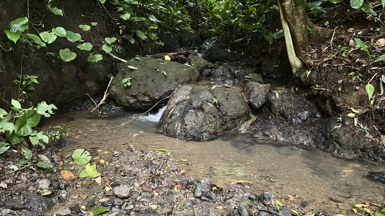 Unique property with creek and waterfall in lush jungle: Mountain Home Construction Site For Sale in Damas - photo 27