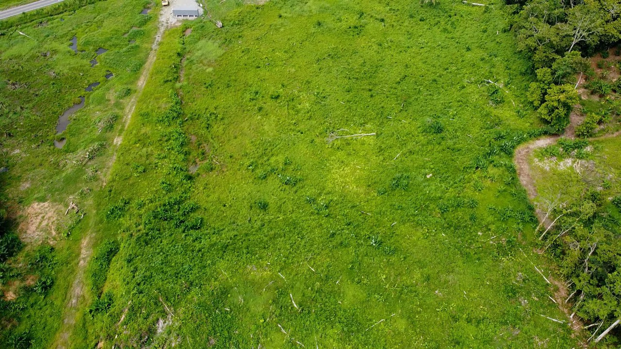 Terreno en Zona Industrial de Limón: Development Parcel For Sale in Moin - Gallery image 2