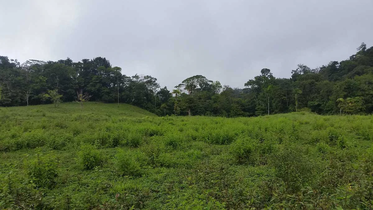 Finca Tesoro Escondido - The Jewel of Uvita - Gallery image 8