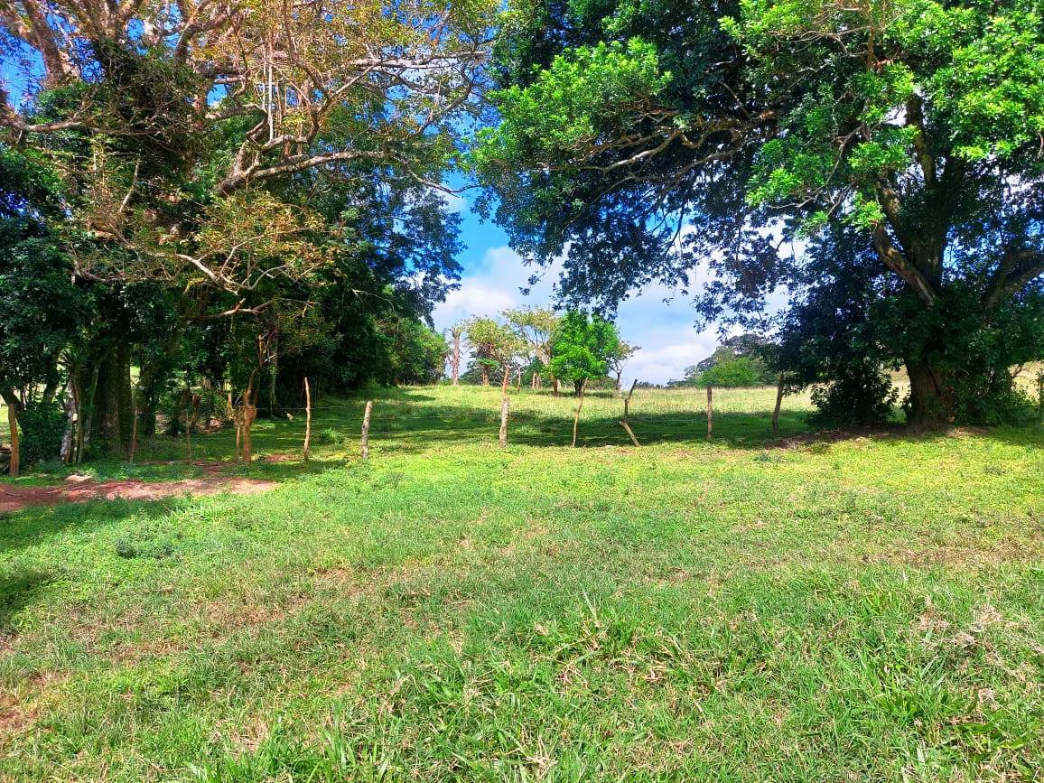 LA CABAÑA - COUNTRY ESTATE WITH HUGE POTENTIAL - Gallery image 16