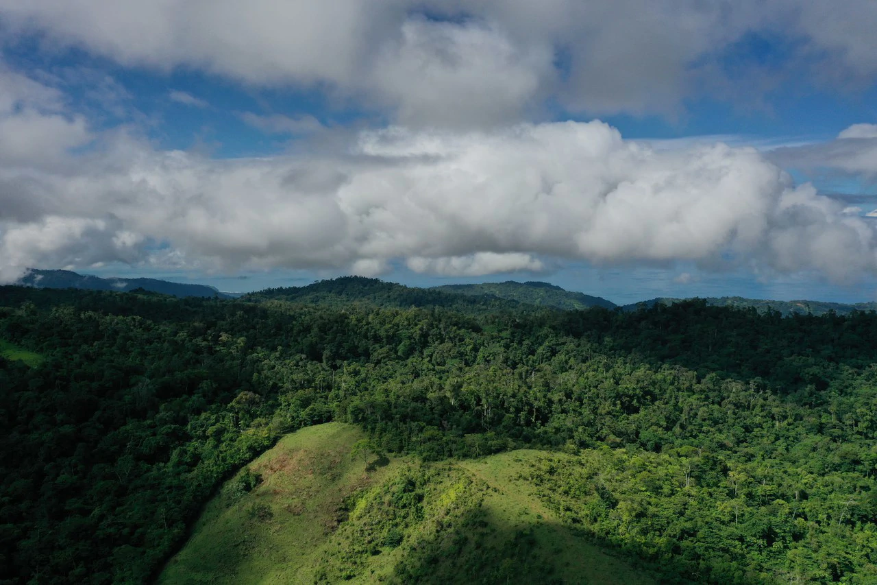 47 Acre Off Grid Ranch with Ocean & Mountain Views San Lorenzo Perez Zeledón - Gallery image 16