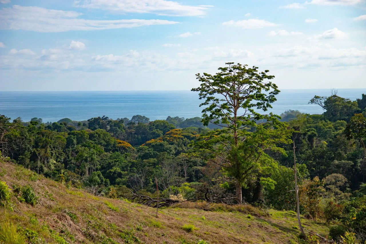 10 ACRES – Rare Ocean View Development Or Estate Property In Uvita – With Waterfall!!! - Gallery image 2