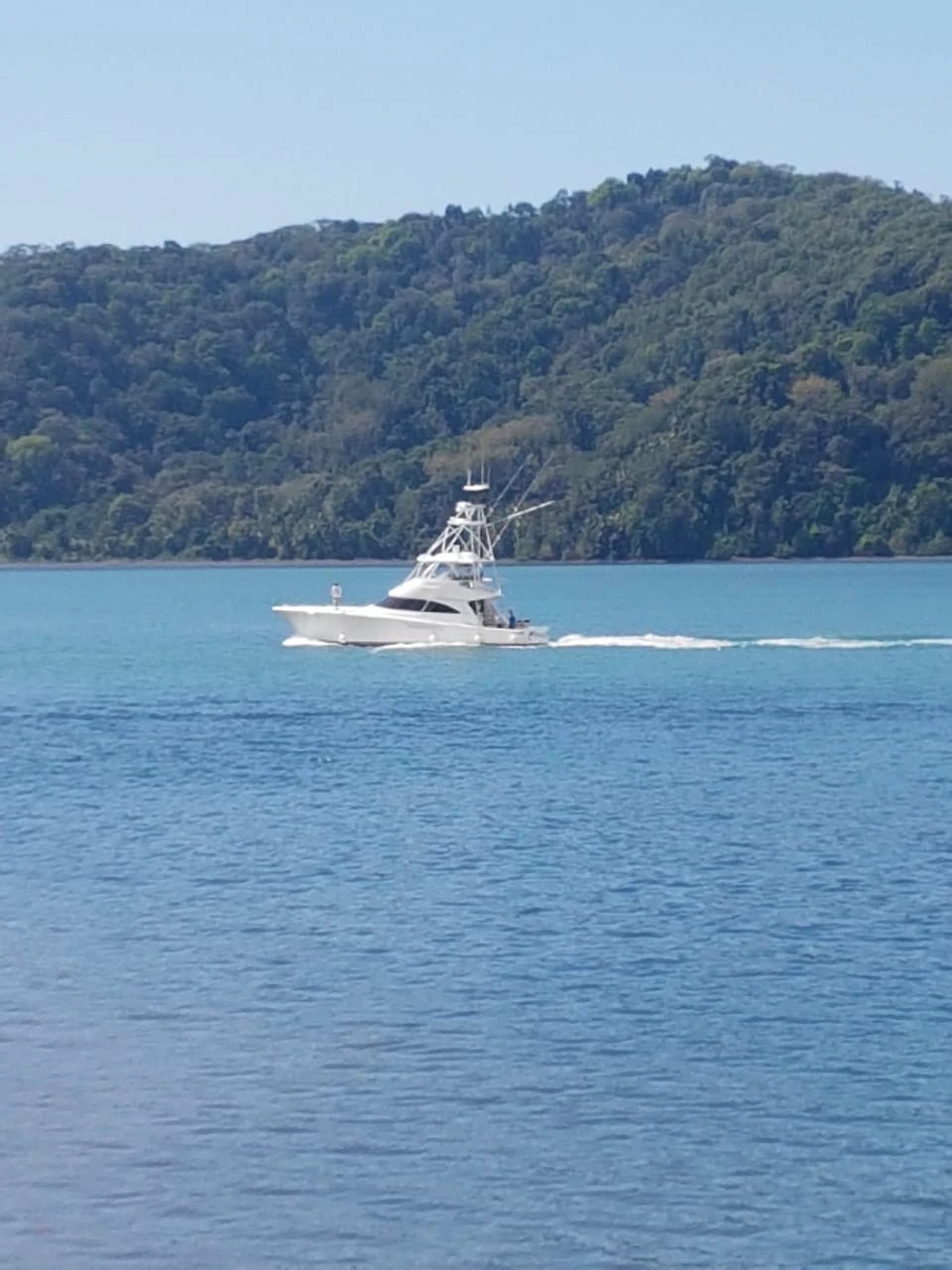 Nature Lover's Marina Resort Investment: Costa Rica South-Pacific Gulf Coast Marina, Rainforest Resort - Gallery image 8