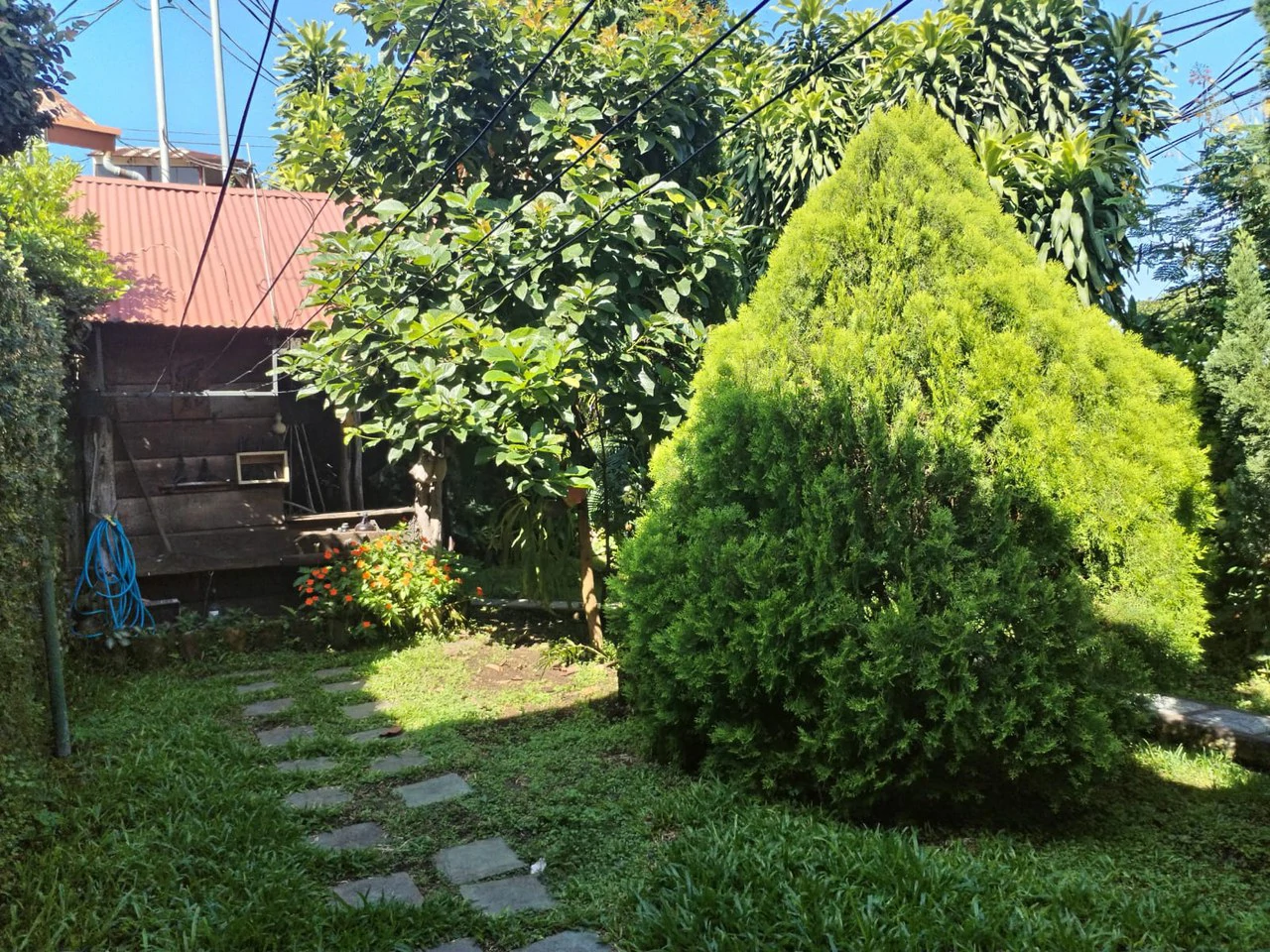 House in Grecia center just 100m from the Plaza Grecia Mall - Gallery image 11