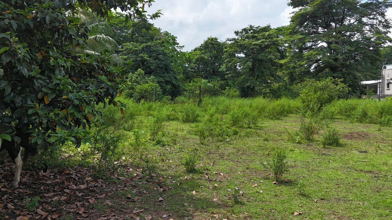 Walk to the beach, Developement Land, Mini Ranch, Central Uvita - Gallery image 3