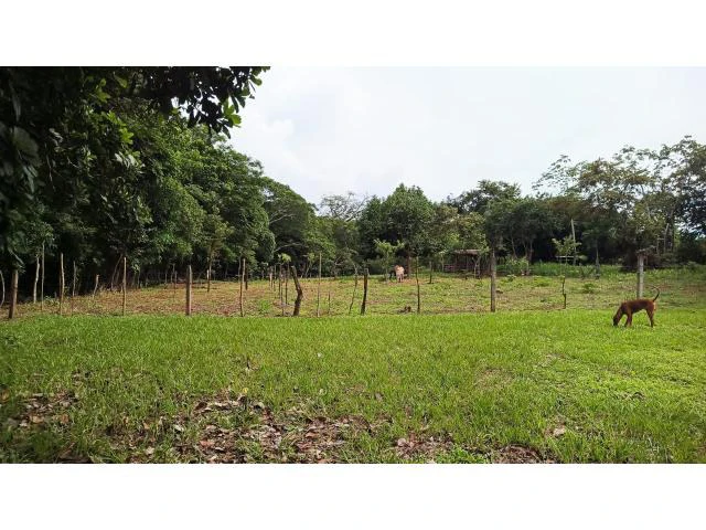 Charming Tico Home with Beautiful Green Garden for Sale in Bagaces - Gallery image 12