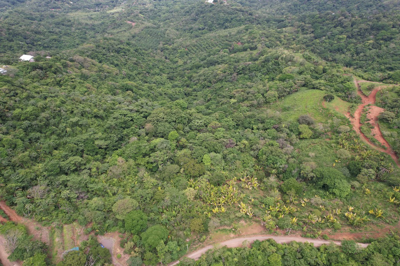 Lotes Paraíso: Spectacular Ocean and Mountain View 5.77 acres Development Land - Gallery image 17