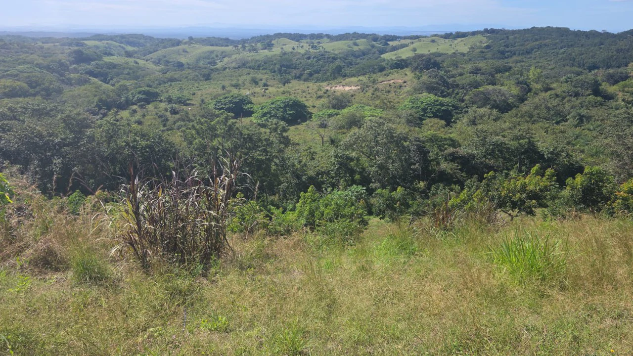 Mountain Property for Sale with charming 360º views of Guayabos Valley and the Volcanoes - Gallery image 38
