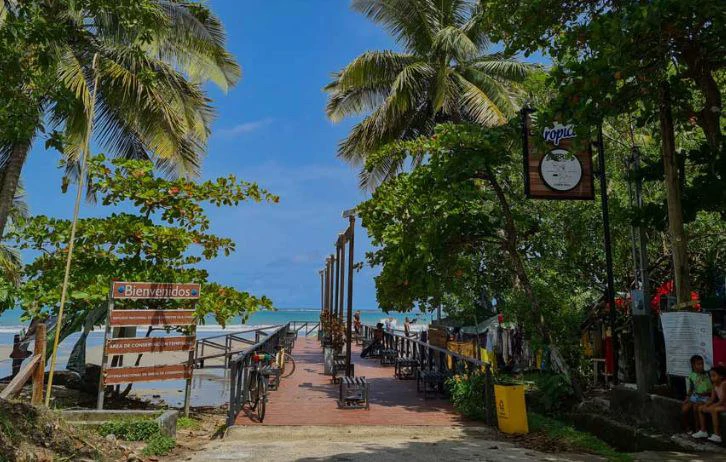 Lote Mirador # 3: Breathtaking Lot with Stunning Ocean Views, Large Building Pad, just 30 minutes from Samara Beach - Gallery image 11