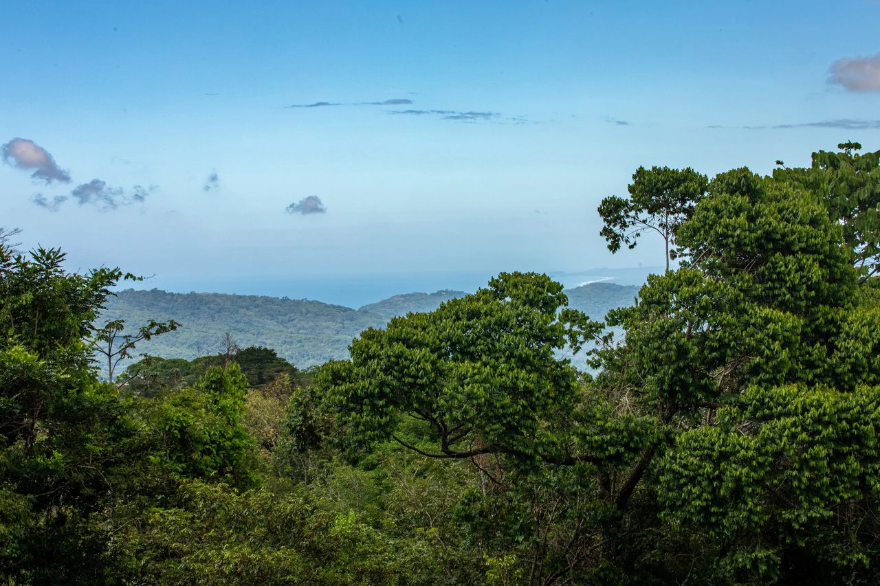 Extraordinary Ocean View Estate and Retreat Opportunity in the Diamante Valley Dominical - Gallery image 77