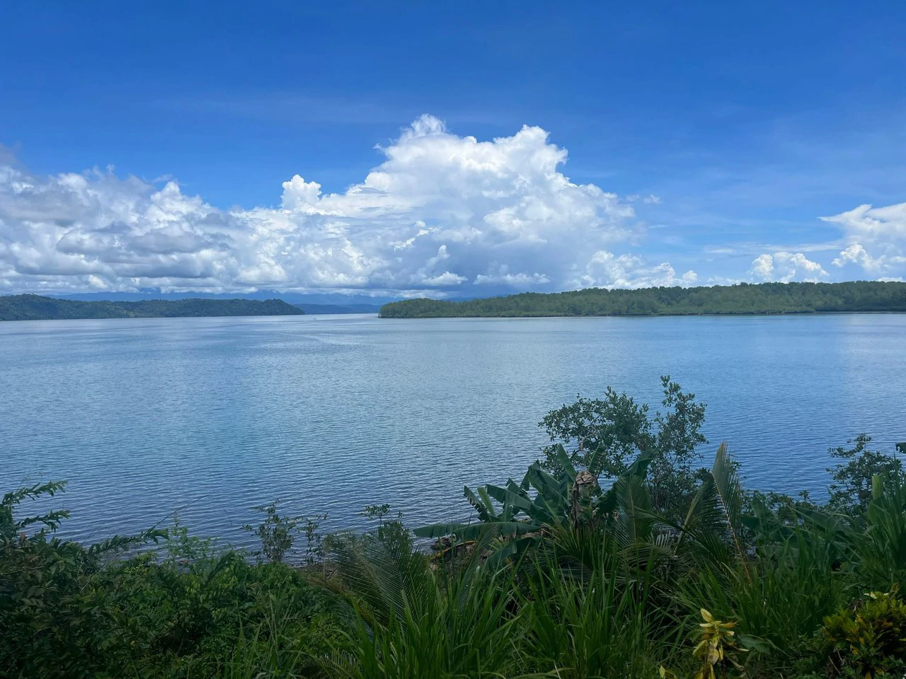 Finca La Palma, Puerto Jimenez: Excellent location ideal for development - Gallery image 16