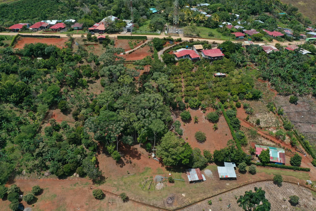 Prime 40,000 Sq. Ft. Building Lot with Mountain & Valley Views in Pérez Zeledón - Gallery image 5